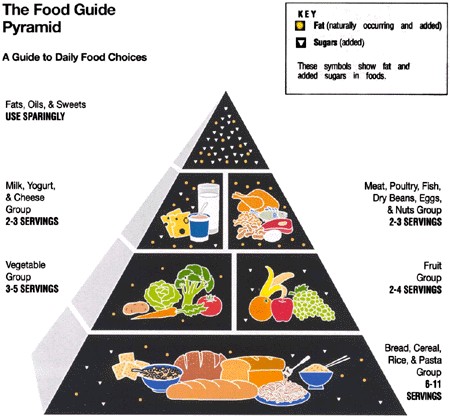 USDA Food Pyramid